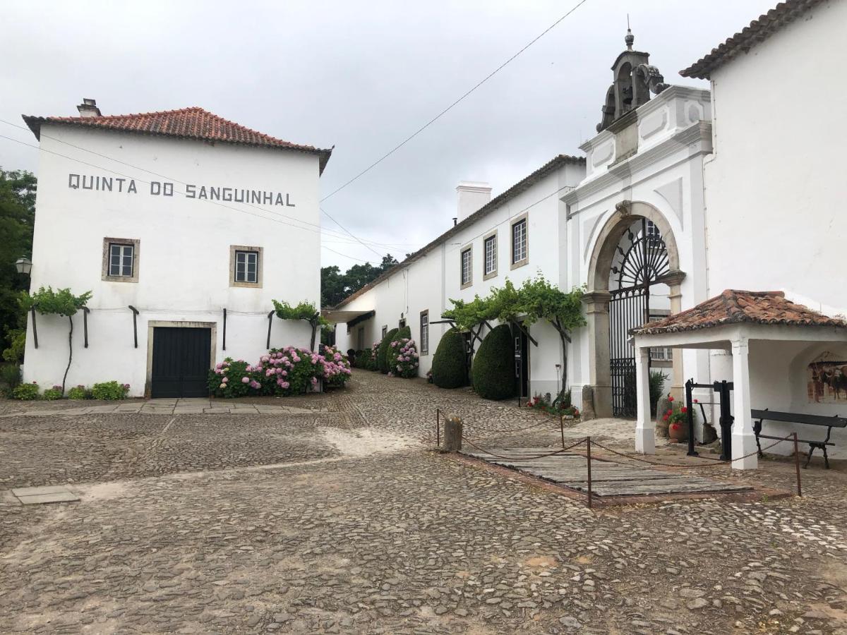 Bed and Breakfast Terra Luso Proche De Montejunto Cadaval Exterior foto